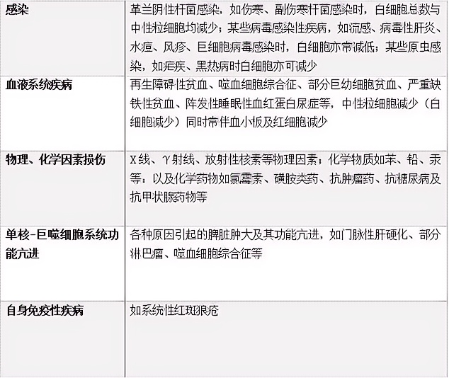 中性粒细胞你了解多少？_腾讯新闻