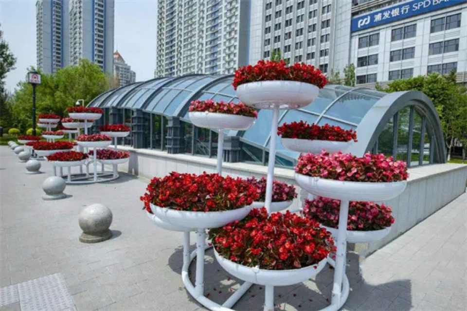 6月中旬开始!冰城这里将新建两座大型五色草花坛