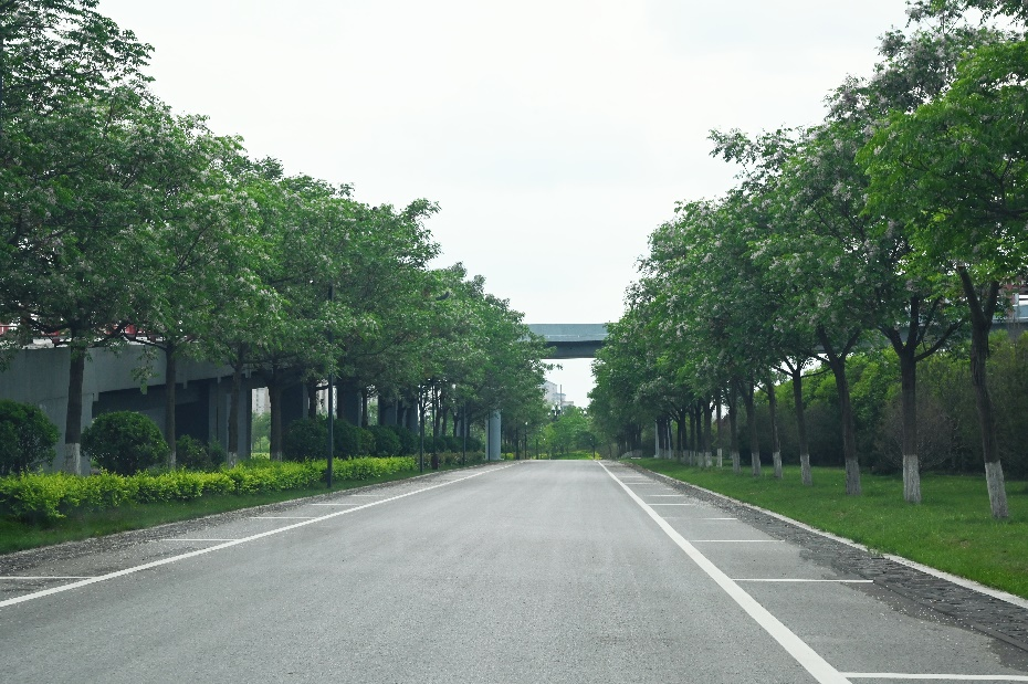 陕历博秦汉馆,秦汉新城所打造的周边交通配套工程可全面解决泾渭大道