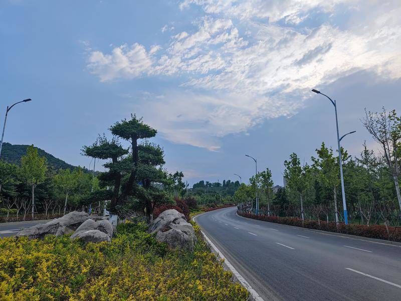 芝罘区竹林路绿化提升改造工程全部完成