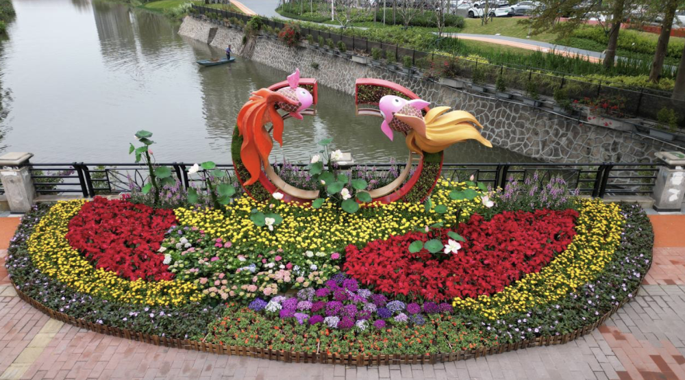 位于驷马涌"锦上添花"立体花坛以簕杜鹃为主景,搭配错落有致的时花