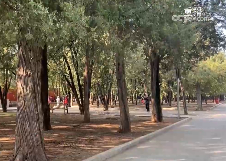 花粉过敏成“春日烦恼” 过敏“元凶”圆柏为何不能一砍了之？_腾讯新闻