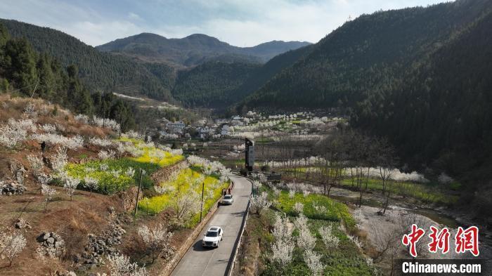 广元樱花谷风景区电话图片