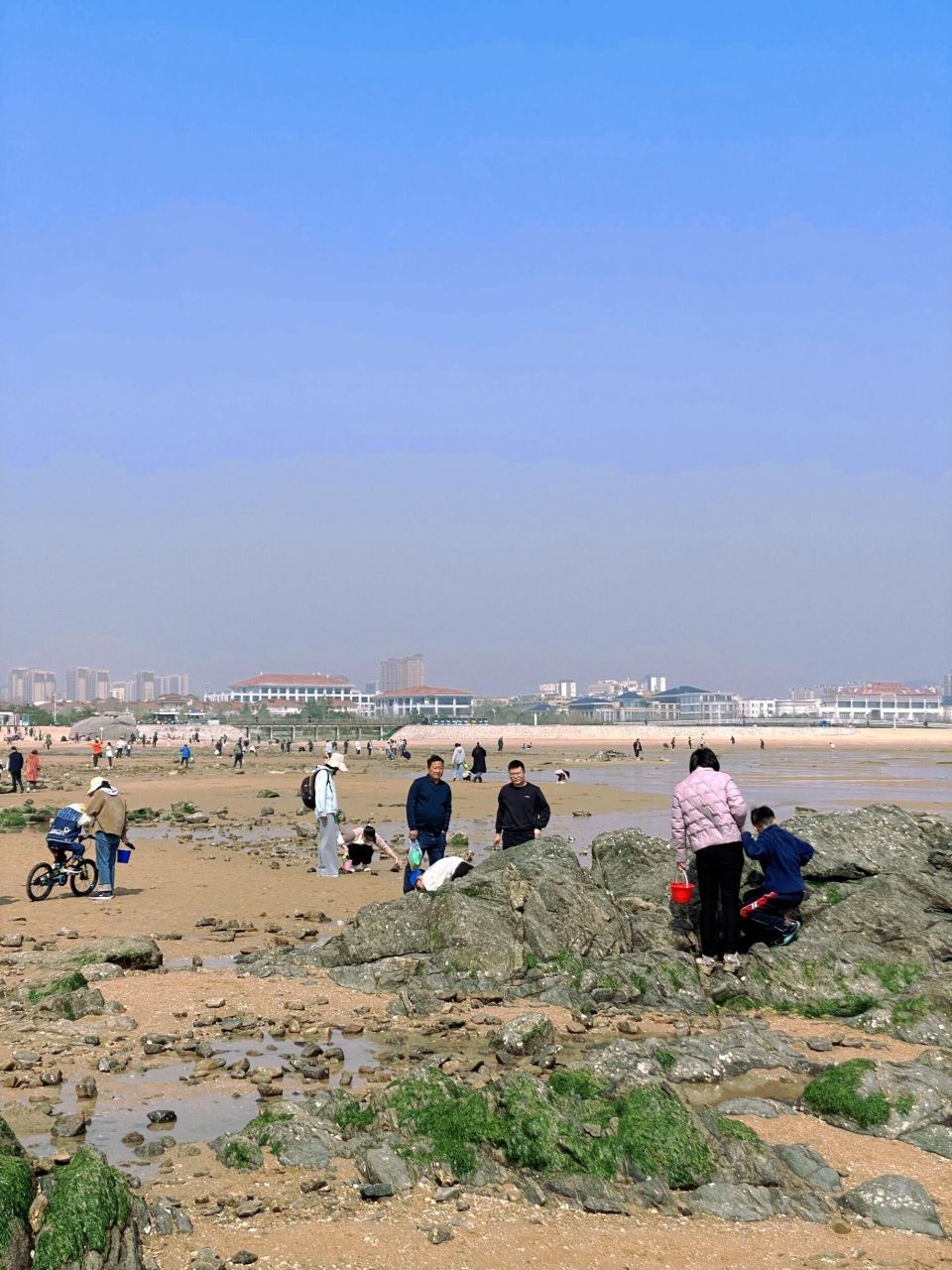 日照岚山多岛海赶海图片