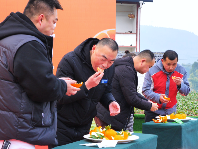 狂喜!这个五一假期,遂溪邀你共赴甜蜜之旅