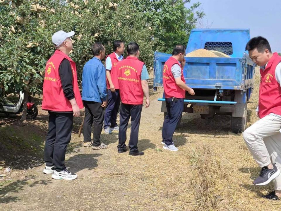 扶风县杏林镇:助力"三夏"生产 彰显"红马甲"力量