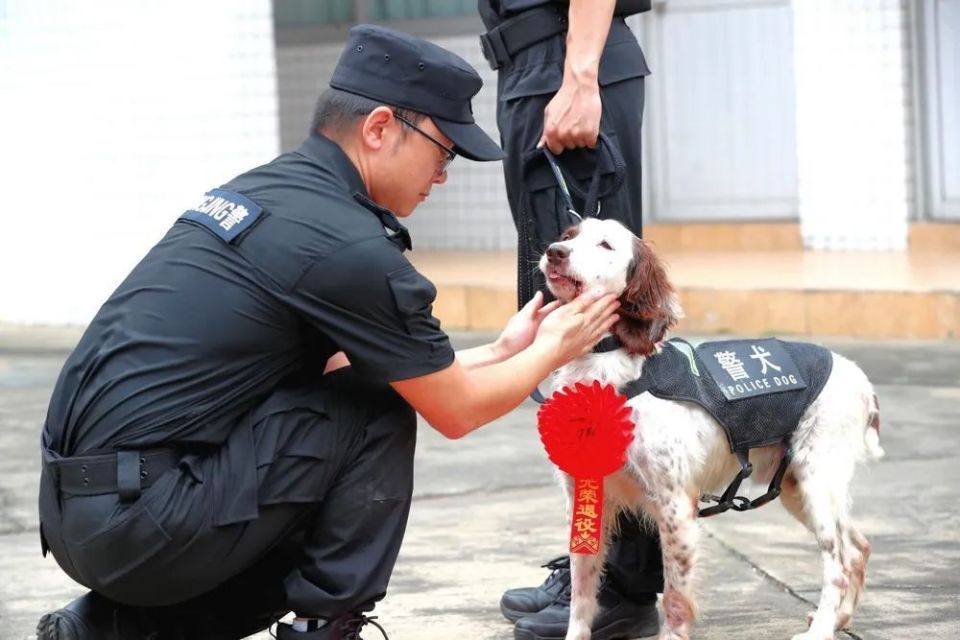 "仪式上,刑警支队三大队副大队长张国红宣读警犬"酷熊"退役决定,全体