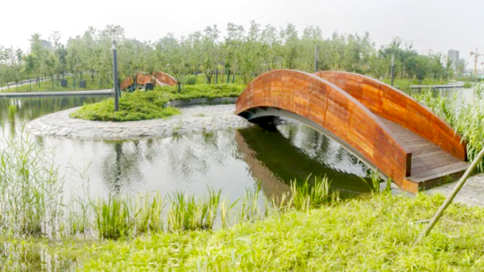 来桃浦,走进中心城区最大的"城市绿洲"_腾讯新闻