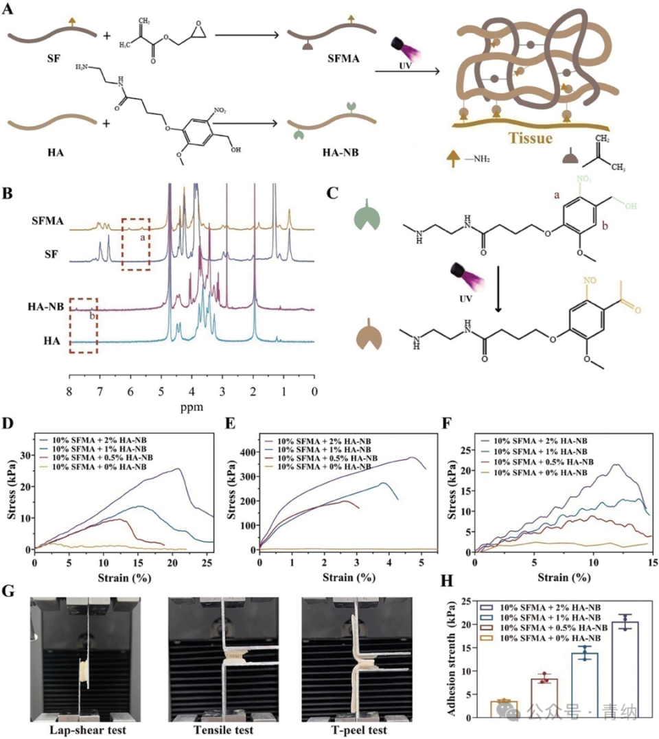 抗菌水凝胶怎么操作《Adv. Sci.》强黏附愈合紫草素水凝胶的糖尿病口腔溃疡治疗新方案！_https://www.jmylbn.com_新闻资讯_第3张