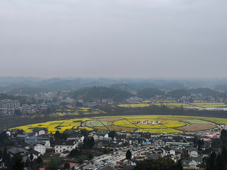 用脚步感知大地芳华 ——"我们的大地"渝西主题采风活动收官_腾讯新闻