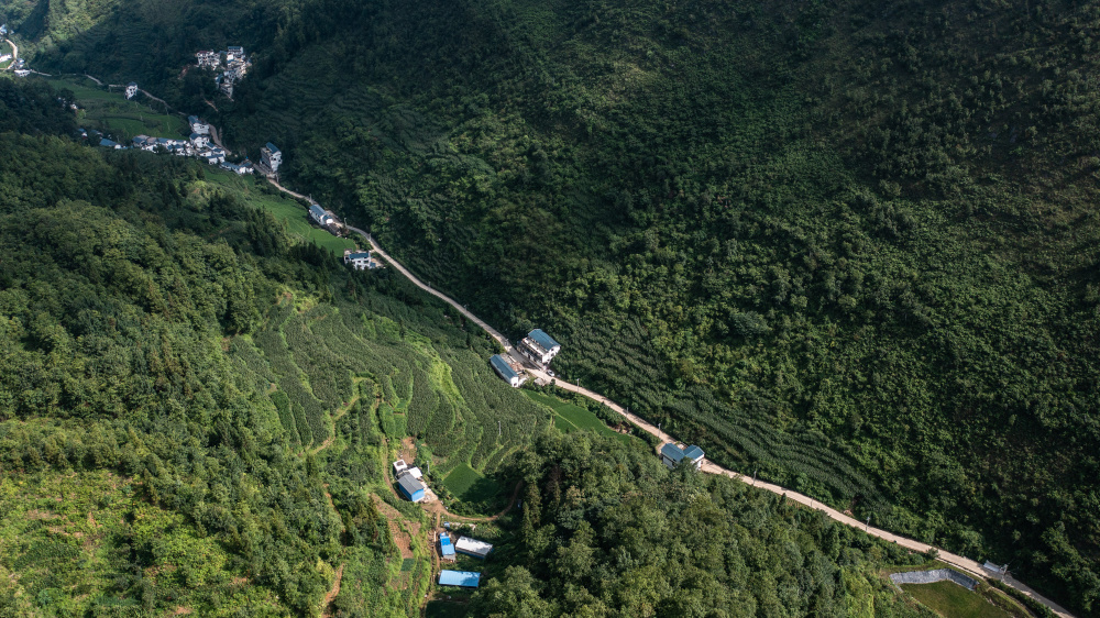 新华社记者 陶亮 摄7月5日拍摄的安龙县新桥镇农村公路(无人机照片).