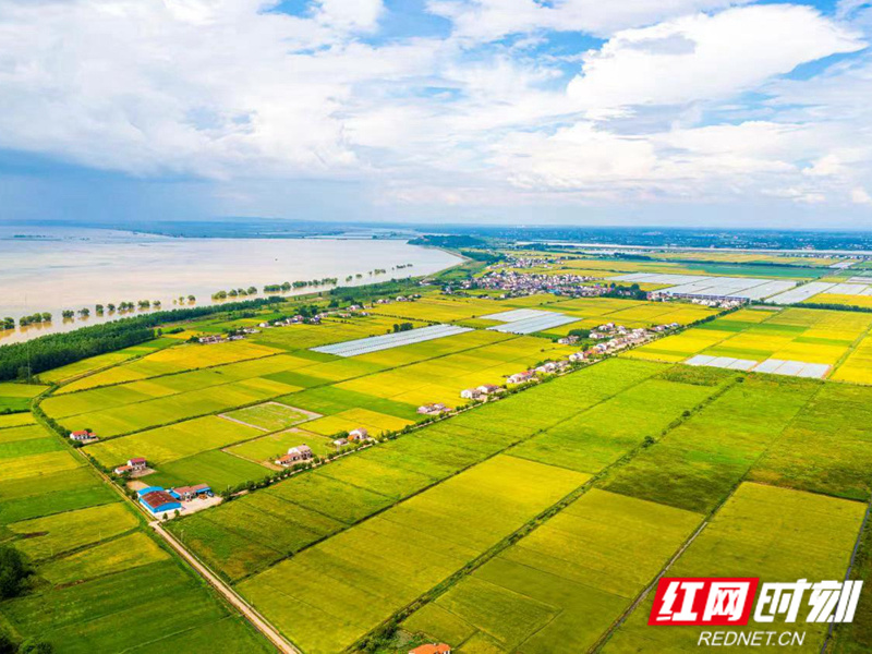 "一主一特"奋力打造中国式农业农村现代化屈原样板_腾讯新闻