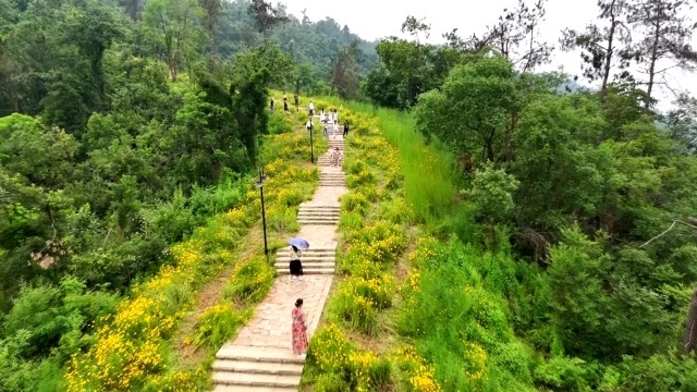 江夏爬山图片