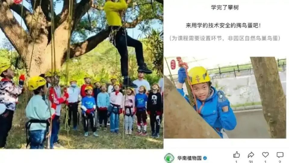 “掏鸟蛋”课被取消，如何正确打开自然之门？_腾讯新闻