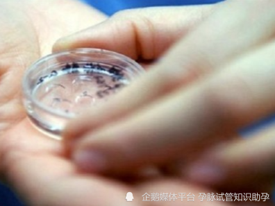 2023浙江公立医院做试管婴儿生双胞胎多少钱？