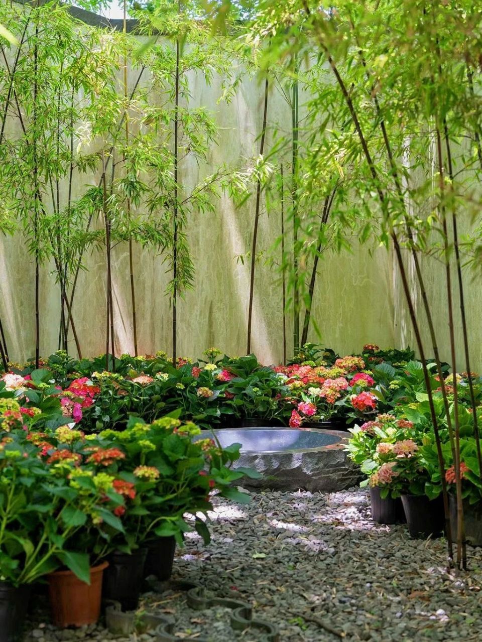 漫山遍野的绣球花海美到失语,趁人少我先冲了!