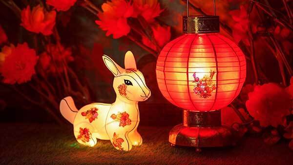 中国传统节日元宵节是要看灯的,各式各样的花灯总是让人目不暇接.