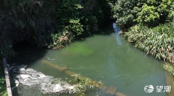 台州8座水库开闸放水,为90余万亩农田"解渴"
