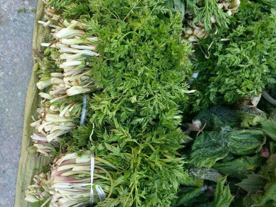 老山芹因为好吃又营养,吃的人多,所以在市场上特别火,这样一来,它的