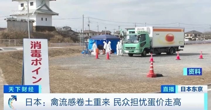 日本一養雞場現禽流感疫情72萬隻蛋雞將被撲殺