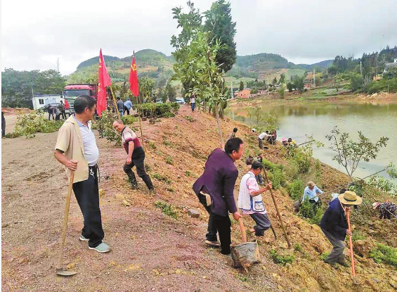 石林县大可乡实施四大工程助力乡村振兴