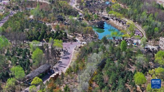 近日,位于贺兰山下的宁夏银川市西夏区贺兰山运动公园里,绿树萌芽