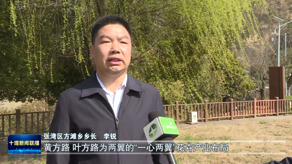 绽放消费新活力张湾区美丽经济一路生花