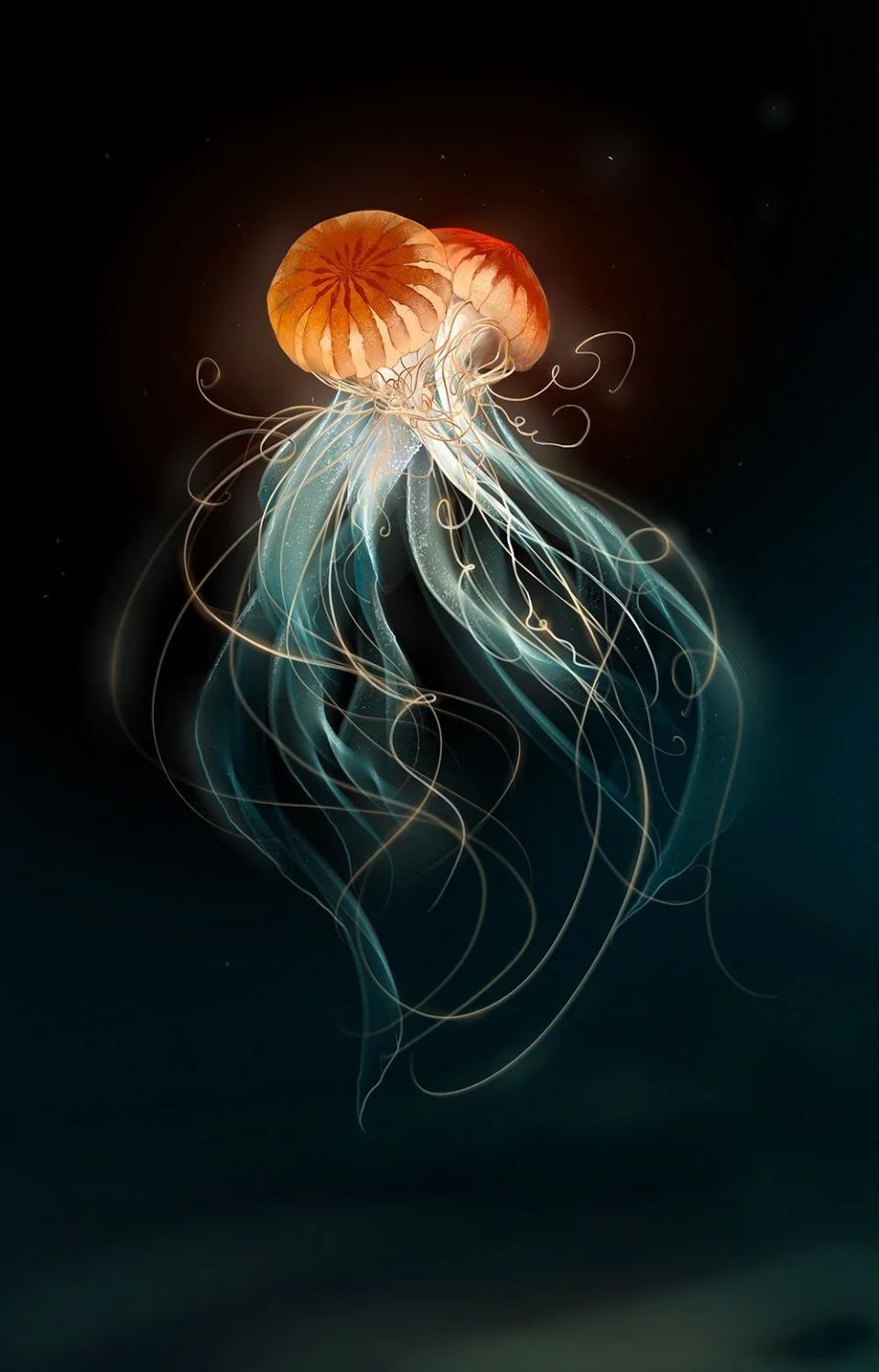 创意插画设计欣赏