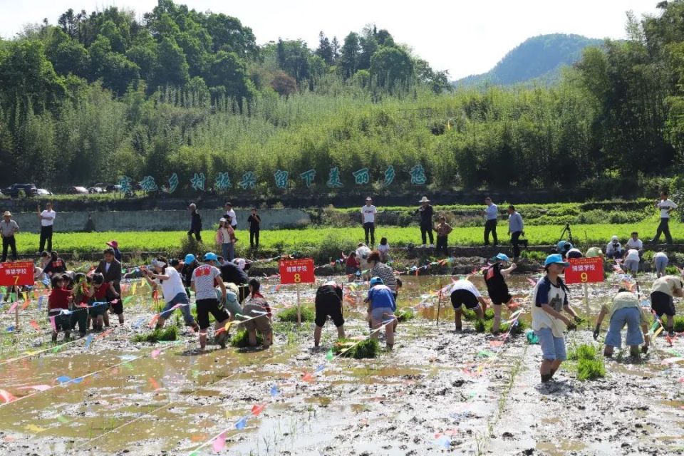 今天,僰王山这里热闹又好耍!