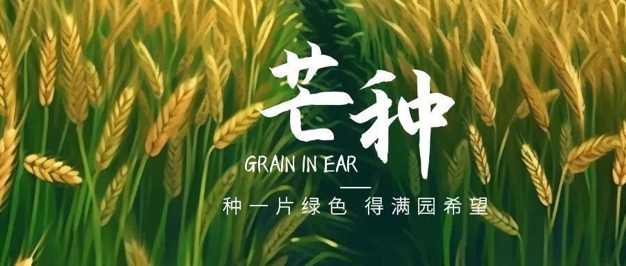 仲夏始登场!北京这些景点竟都和芒种节气相关