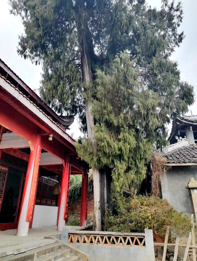 这里有初建于唐代中晚期的绵阳市重点文物保护单位佛祖寺,更是明代
