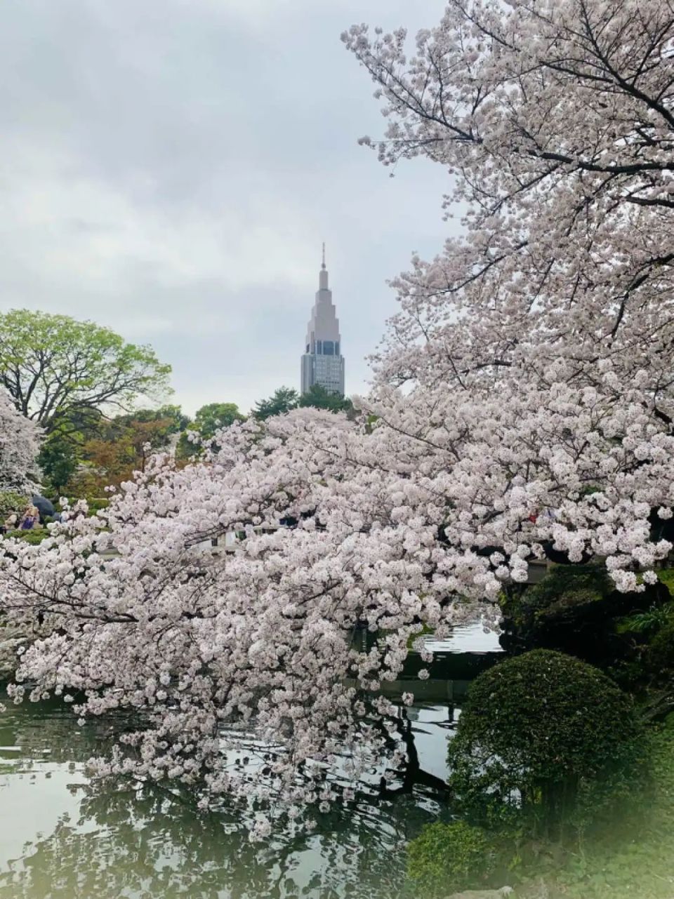 东京上野公园攻略图片