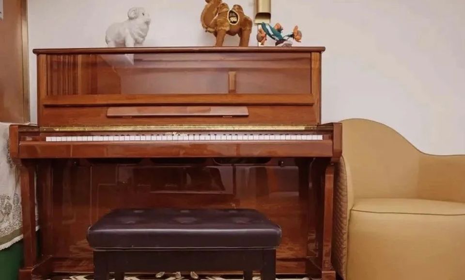 新东方快车由软卧车厢,餐车,酒吧车组成,全列卧铺.