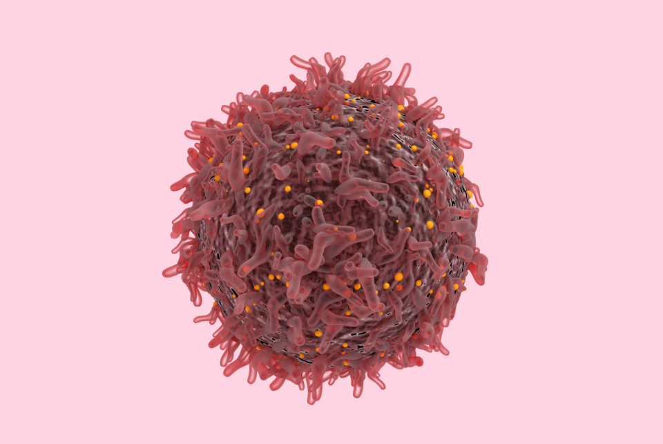 乳腺cr是什么CR：乳腺癌细胞，太会装了！科学家发现，乳腺癌细胞会表达免疫标志物模拟免疫细胞，增强增殖与生存能力_https://www.jmylbn.com_新闻资讯_第2张