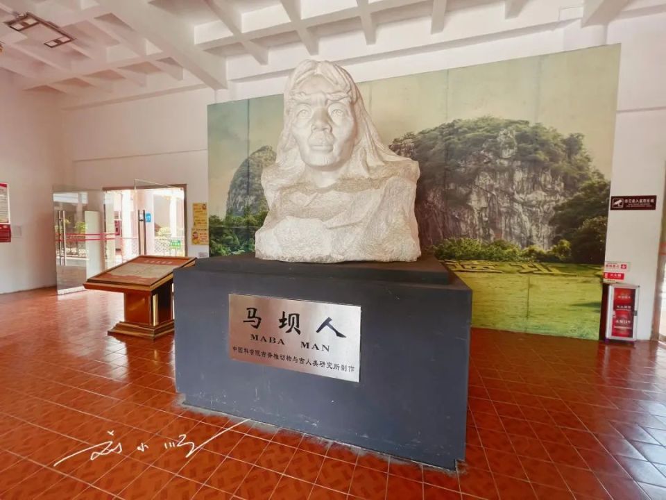 "马坝人"的发现,为完善我国原始人类发展的序列提供了相当重要的资料