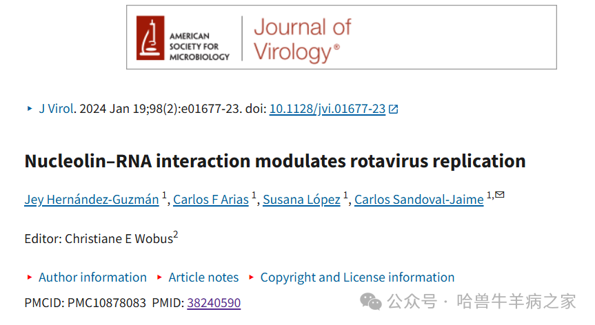 “Nucleolin–RNA interaction modulates rotavirus replication”于2024年2月发表在《Journal of Virology》期刊，该研究显示轮