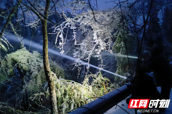 临湘羊楼司镇:8小时山路寻乡亲 踏破冰雪护安宁_腾讯新闻