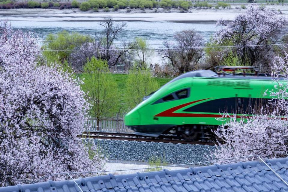 坐上复兴号 赏雪域桃花