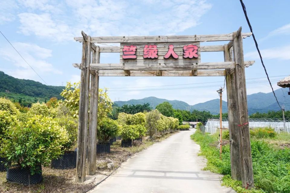 山脚下这里的走地鸡不用圈养而是在原生态环境中自由撒野奔跑推荐菜