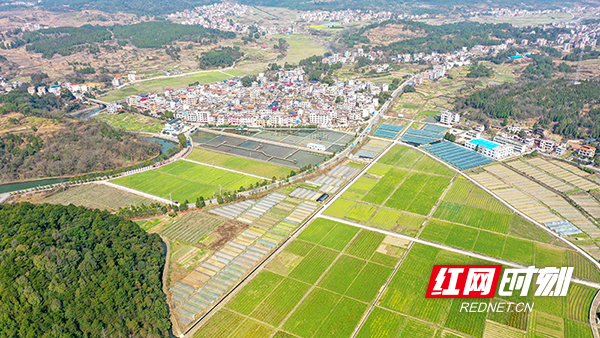 湖南新田:春日田园景美如画(组图)_腾讯新闻