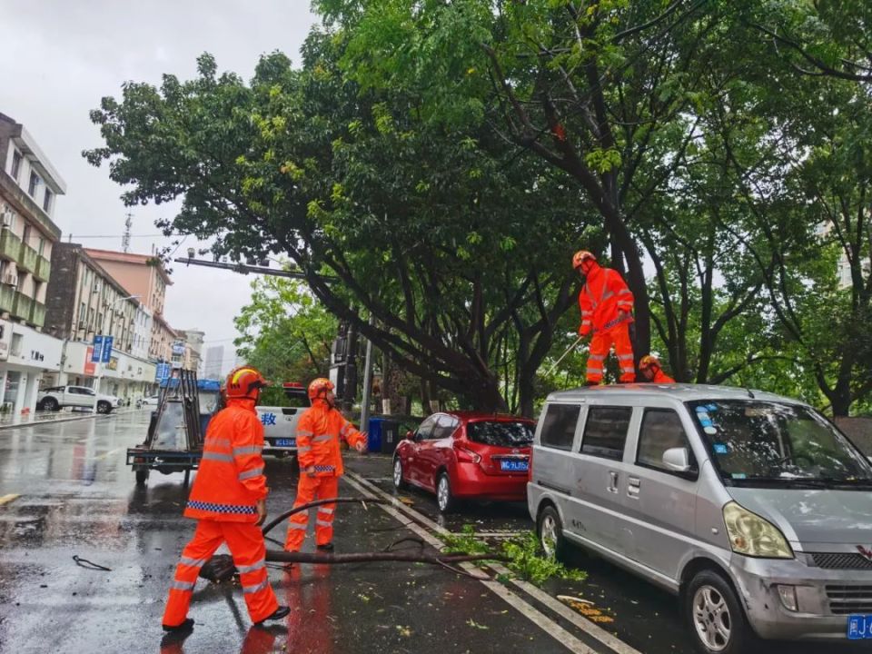 台风天,这是昨天的苍南!