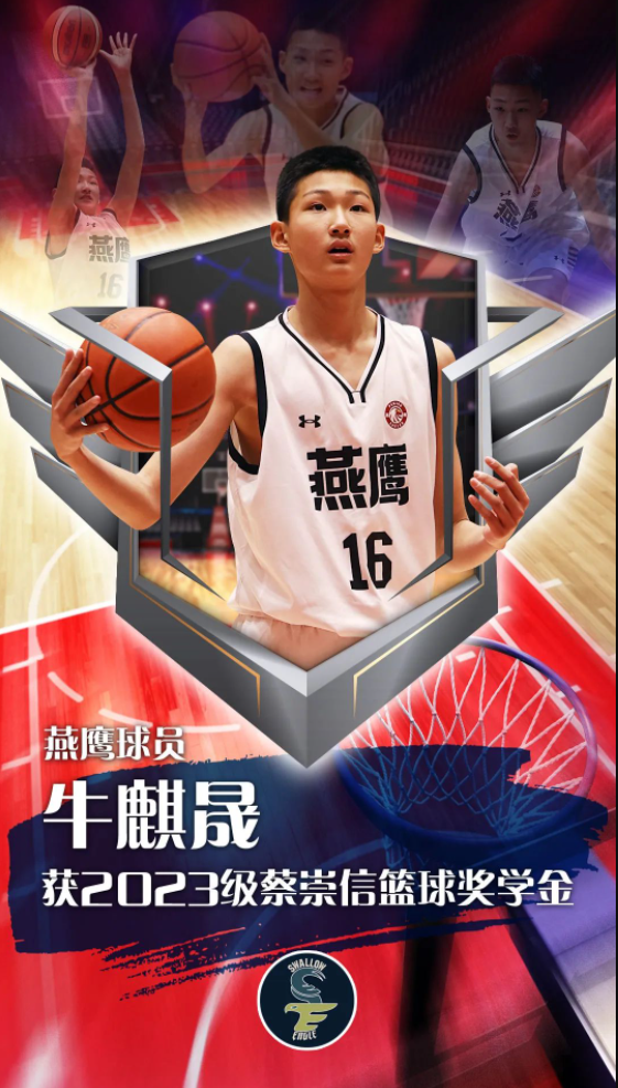 今晚直播杨政雏鹰vs杨侃燕鹰