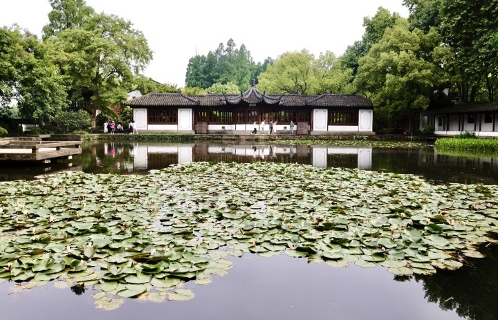 杭州入夏游客郭庄赏莲避暑