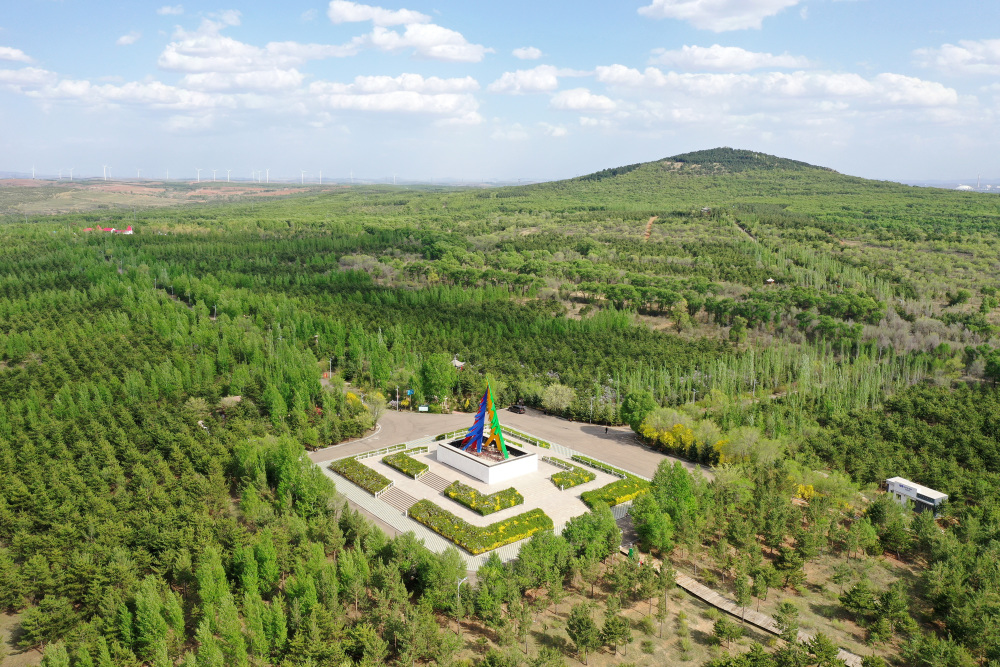 山西省右玉县南山森林公园一角(5月18日摄,无人机照片).