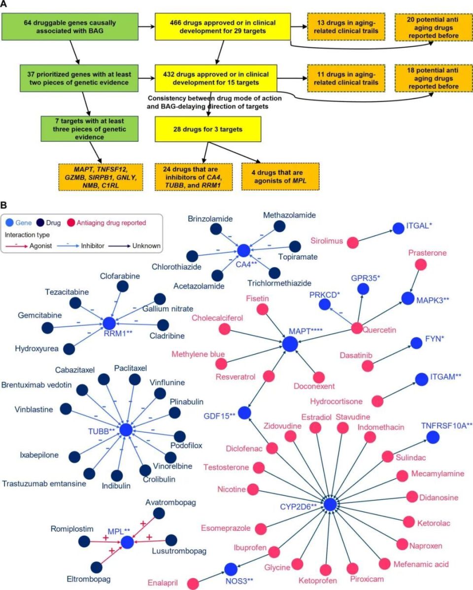 以色列医疗设备有哪些追问weekly ｜ 过去一周，脑科学领域有哪些新发现？Vol.63_https://www.jmylbn.com_新闻资讯_第14张