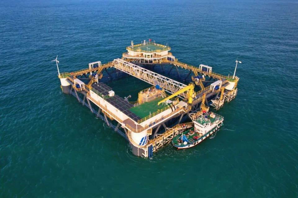 海洋牧场:深远海的"蓝色粮仓"