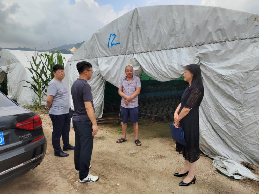 辽阳县人大常委会到吉洞峪满族乡调研食用菌产业发展情况