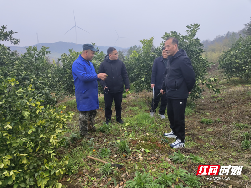 永兴县柏林镇做实田间文章促使农民丰产丰收