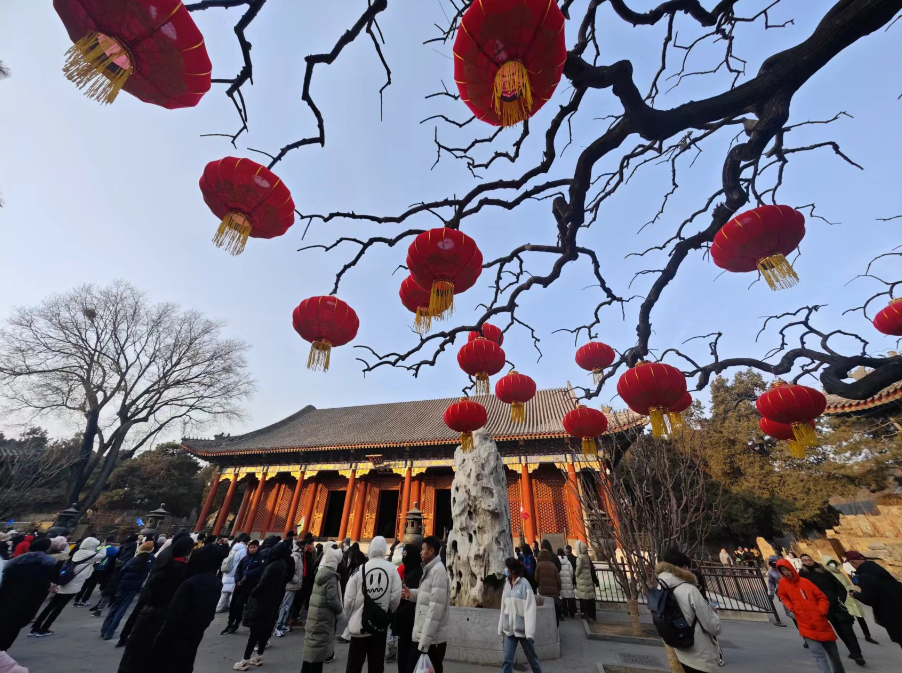 喜迎中国年颐和园3000余盏红灯笼上线