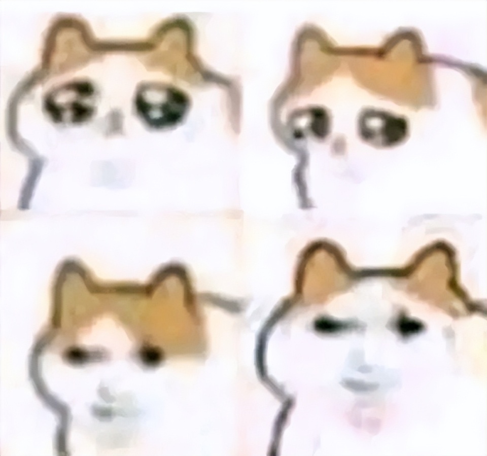 啊，不行了，这猫猫meme图太可爱了-腾讯新闻